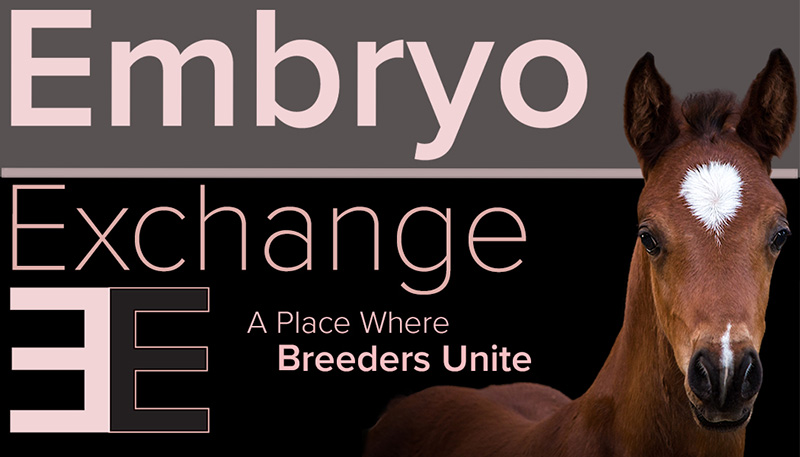 Embryo Exchange The Place Where Breeders Unite